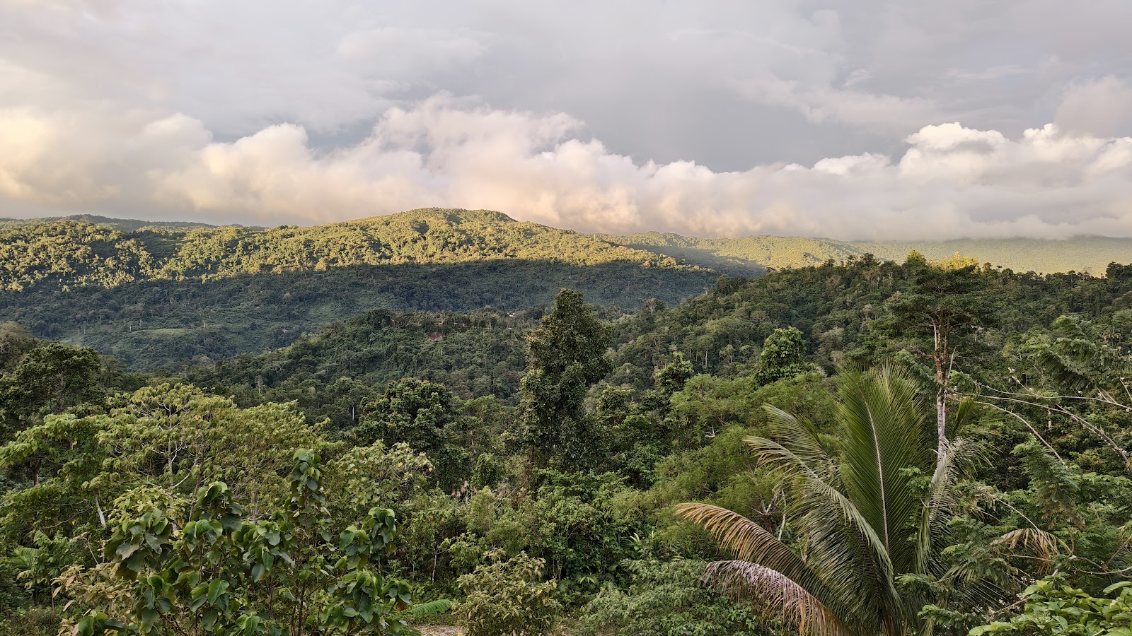 Central Highlands