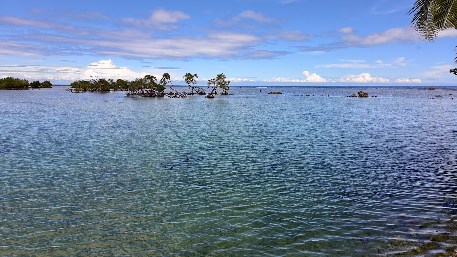 Snorkelling