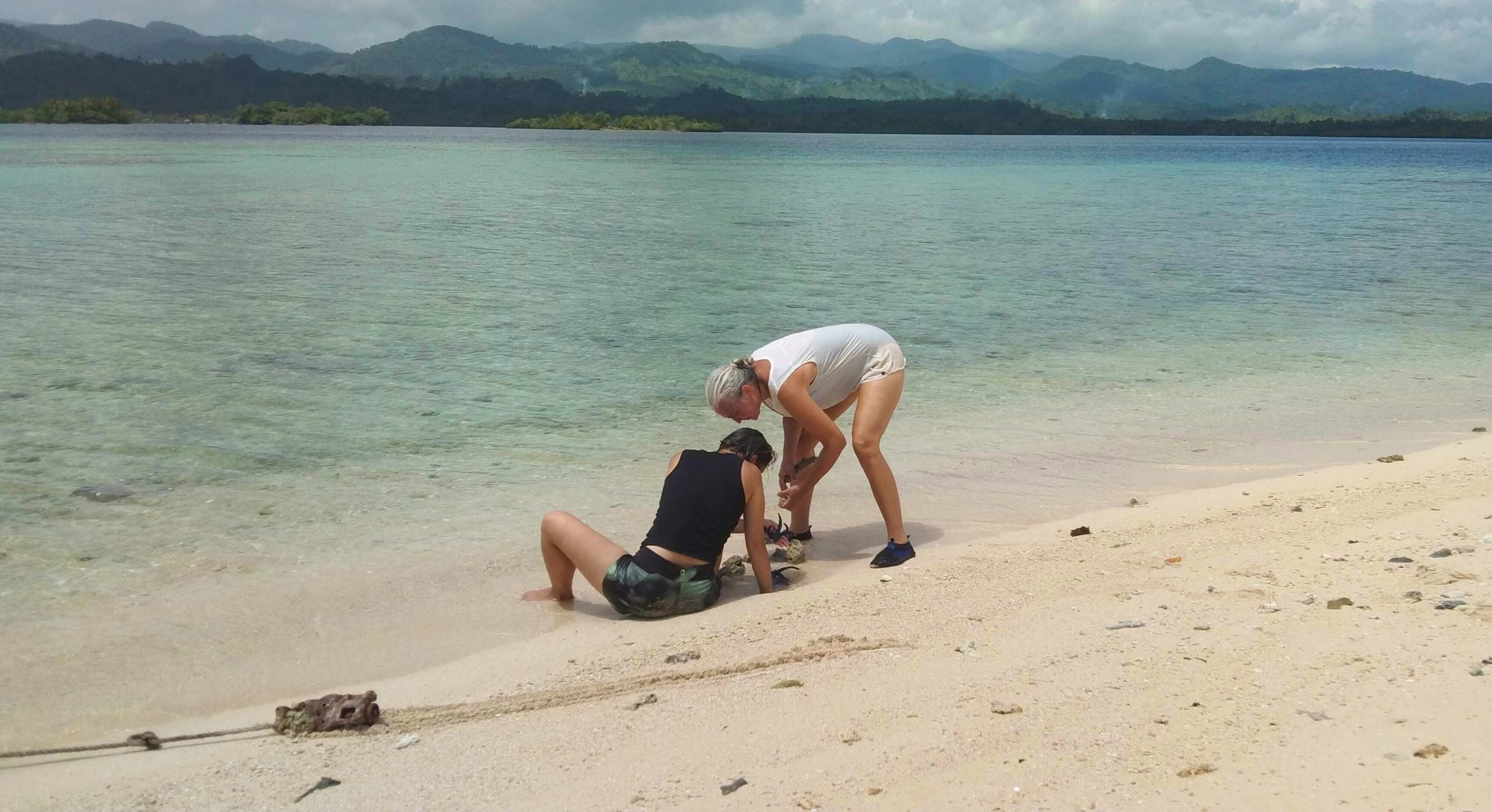 Island Picnic