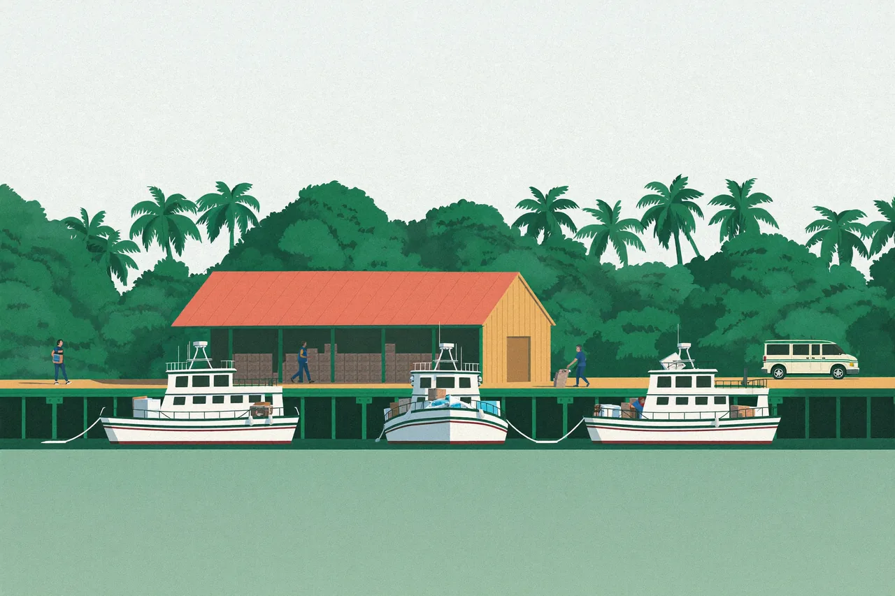 2022 Full-Day Full-Day Blue-Water Charter (Milne Bay)